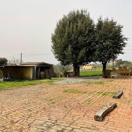 Podere Piazza Siena Exterior photo